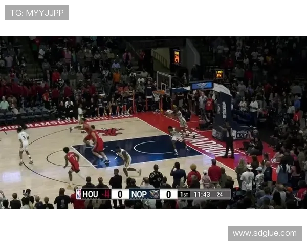 八人得分上双 鹈鹕队多点开花击败黄蜂赢得比赛